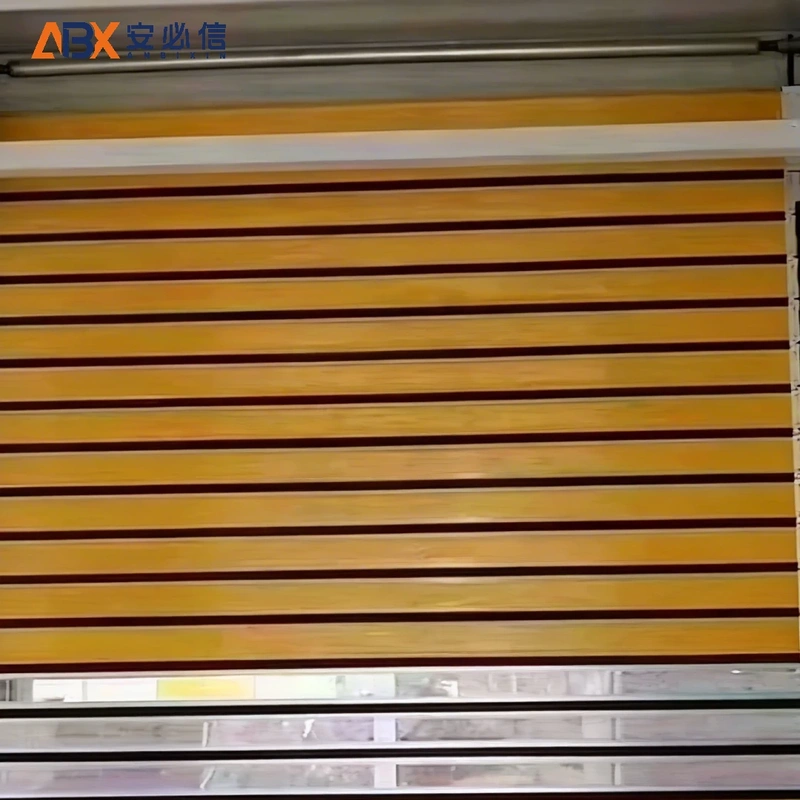 林芝市感应高速门